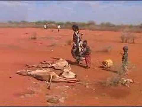 UNICEF: Kenya Drought Situation Worsens