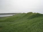 The landward side of sand dunes in Cavendish. The island's lush landscape has a strong bearing on its economy and culture.