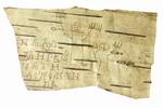 A birch bark inscription excavated from Novgorod, circa 1240–1260. Birch pulp’s short-fibres allow this hardwood to be used to make paper.