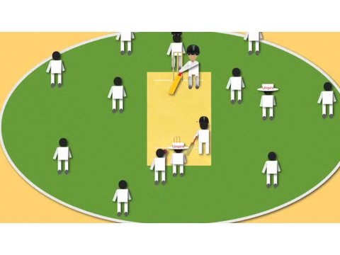 How to Play Cricket