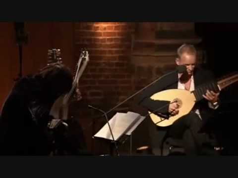 Sting & Edin Karamazov - Fields Of Gold (Lute)