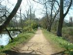 View along Addison's Walk (originally called Water Walk) is a picturesque footpath around a small island in the River Cher well in the grounds of Magdalen College, Oxford, England.