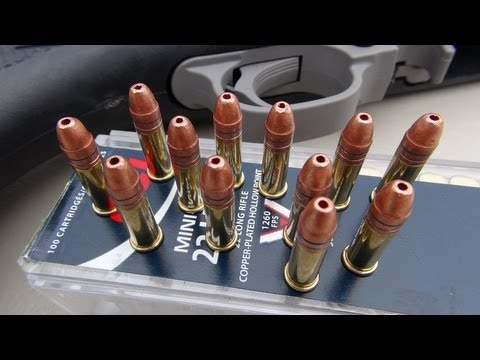 .22 LR CCI MINI-MAG 36 gr Ballistic Gel Test