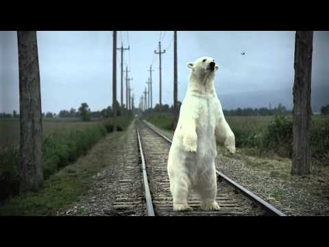 Nissan Commercial - Polar Bear