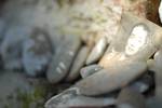 Tibetan in exile: keeping the ancient culture and Buddhism alive, mantras curved on hard stones, Dharamshala, H.P, India