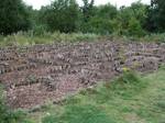 Rushcliffe Country Park Log Maze, UK