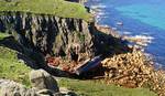 Remains of the R M S Mulheim near Lands End in Cornwall, UK. It went aground in March 2003.