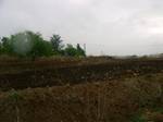 Agricultural land-farming-India.