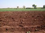 Farm land-agriculture-India.