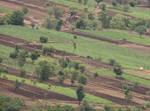 View of agricultural lands from top in India