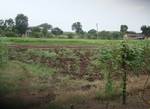 Farm land ready for sowing-agriculture-India.