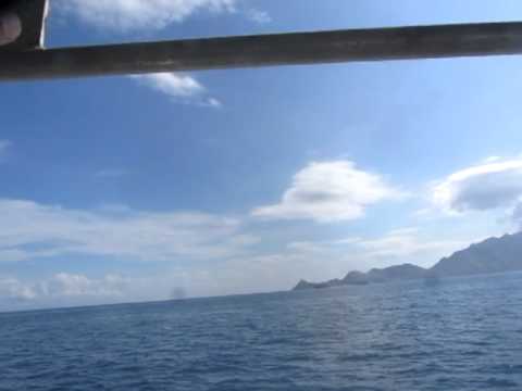 Diving Trip Dili to Atauro Island