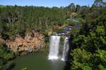 Dangar Falls at Dorrigo, NSW (Australia).