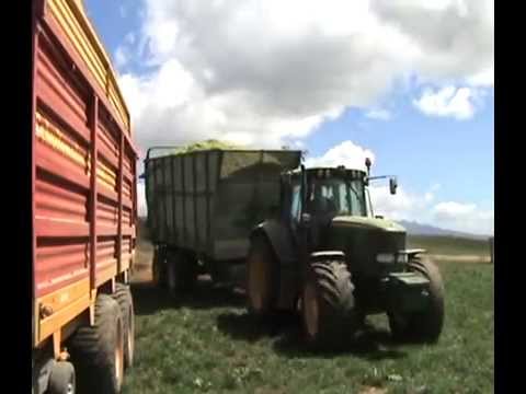 John Austin Ltd, Maize Harvest 2008