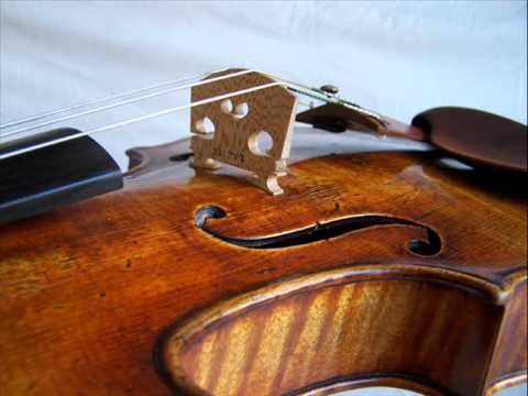 Bach - Goldberg Variations, BWV 988 (for string ensemble)