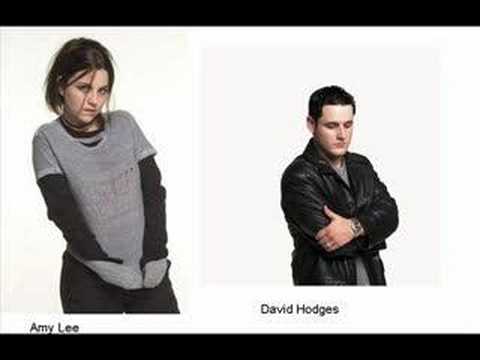 David Hodges feat.Amy Lee - Fall Into You