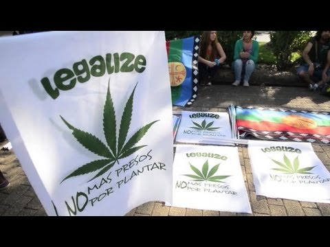 Marijuana fans hold mass rally in Chile