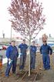 SEATTLE - (from left to right) Petty Officer 1st Class Greg King, Petty Officer 3rd Class Robert Schweikert, Petty Officer 2nd Class J.D. Nichols and Petty Officer 2nd Class Lou Alzamora stand next to a Blooming Plum Tree they planted at the Integrated Support Command (ISC) during Earth Day here today. More than 30 volunteers gathered to landscape several areas around the ISC by planting trees, shrubbery and plants in celebration of Earth Day. (Photo by Petty Officer 3rd Class Tara Molle, U.S. C