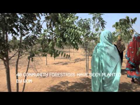 Women Lead The Way Out Of Hunger In Darfur