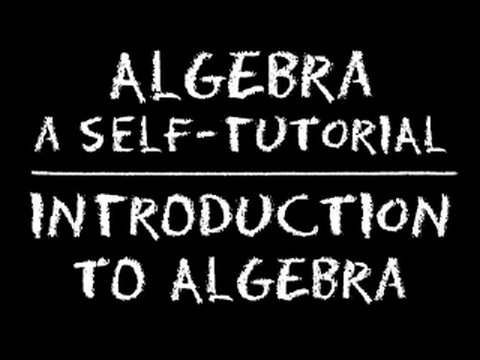 Algebra: Introduction to Algebra