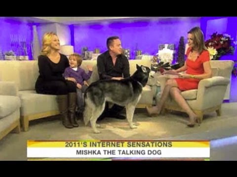 Mishka appears LIVE on TV! (Behind the Scenes)