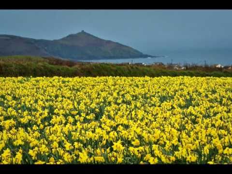 Daffodils by William Wordsworth, read by Kevin Geary