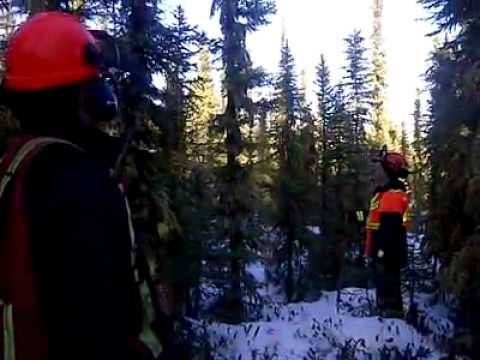 Strange sounds in Conklin, Alberta Jan. 12/2012