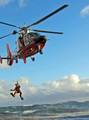 SAN PEDRO, Calif. - The Coast Guard rescued three commercial fishermen after their 33-foot vessel became disabled and began drifting dangerously close to the rocks off of the westernmost point of San Miguel Island in the Channel Islands chain, at about 4 p.m. Sunday. A Coast Guard MH-65 Dolphin helicopter from Air Station Los Angeles hoisted the trio and flew them back to Santa Barbara, Calif., with no injuries. The drama began when the commercial fishing boat, based out of Santa Barbara, became