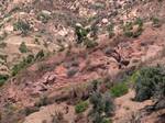 Typical outcrop of the Sespe Formation, north of Santa Barbara, California. The red rocks in the center are Sespe; lighter-colored rocks on the mountainside in the background are the Coldwater Formation.