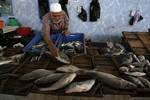 Palestinians in the market selling a fish smuggled through tunnels from the border between Egypt and Rafah in southern Gaza Strip on April 16, 2012. Israel prevents Palestinian fishermen in Gaza into the sea does not exceed the depth of three kilometers. Photo by AHMED DEEB/WN