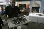 Palestinians in the market selling a fish smuggled through tunnels from the border between Egypt and Rafah in southern Gaza Strip on April 16, 2012. Israel prevents Palestinian fishermen in Gaza into the sea does not exceed the depth of three kilometers. Photo by AHMED DEEB/WN