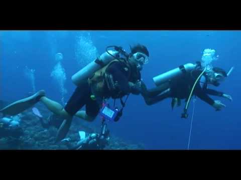 Diving Palau