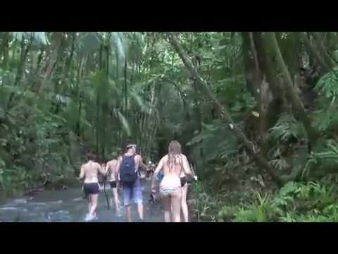 USC Students Hike to a Waterfall in Palau