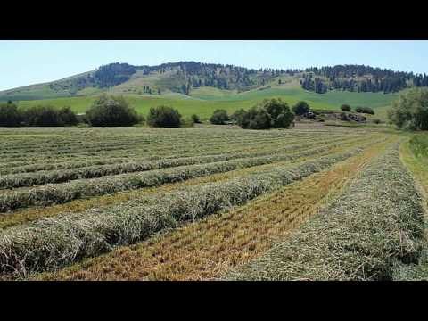 The Palouse Country Of Eastern Washington and Northern Idaho (7-24-10).wmv