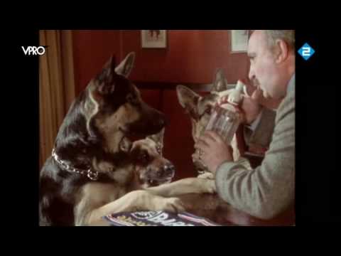 That's Life BBC 1986 soda water dogs (Zomergasten 2010)