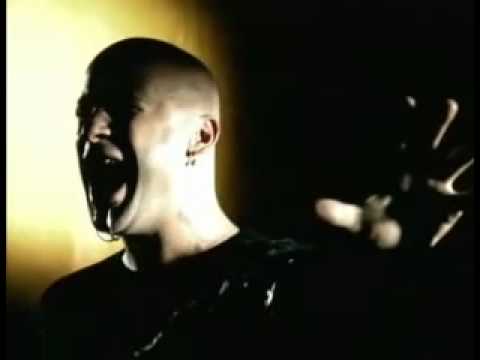 Disturbed Stricken Music Video