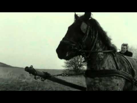 The Turin Horse - opening scene