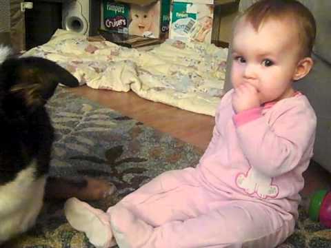 cutest dog and baby sharing cheerios (2).mp4