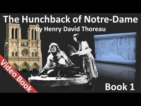 Book 01 - The Hunchback of Notre Dame Audiobook by Victor Hugo (Chs 1-6)