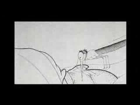 Winsor McCay - How a Mosquito Operates [1912]