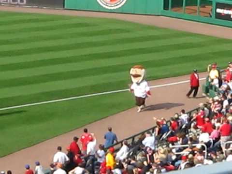 Teddy Wins Washington Nationals Presidents Race But Is Disqualified By Screech