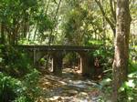 A bridge inside the university. Although the buildings at Peradeniya was established in 1952, the official ceremony for its inception was held in 20 April 1954, with the participation of Queen Elizabeth II.