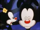 Animaniacs - Art Film Satire