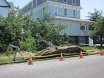 Downed tree in Ocean City, New Jersey. Damage was widespread and extensive along the entire path of the derecho, especially in northern Indiana, central and western Ohio, northeastern Kentucky, southwestern Pennsylvania, West Virginia, northern, central, and southwestern Virginia,[8] Maryland, Washington, D.C., Delaware and southern New Jersey.