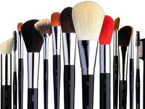 Makeup 101: Complete Guide to Makeup Brushes!!!