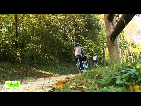 Le vélo dans les Vosges, ce n'est pas que dans la montagne !