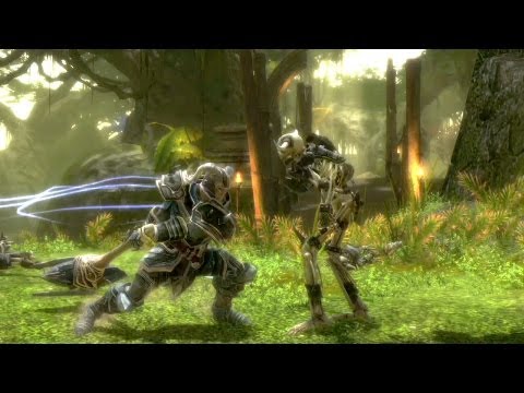 A Hero's Guide to Amalur: Skill at Arms