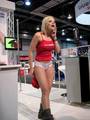 Alexis Texas Tried to Get the Crowd Excited in Her Tight Top & Tiny Shorts!