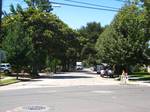 Guinda Street in Palo Alto has a number of significant natural habitats, including estuarine, riparian, and oak forest. Many of these habitats are visible in Foothill Park, which is owned by the city.