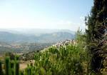 Toros mountains near Mersin. Taurus Mountains (Turkish: Toros Dağları) are a mountain complex in southern Turkey, from which the Euphrates and Tigris descend into Iraq